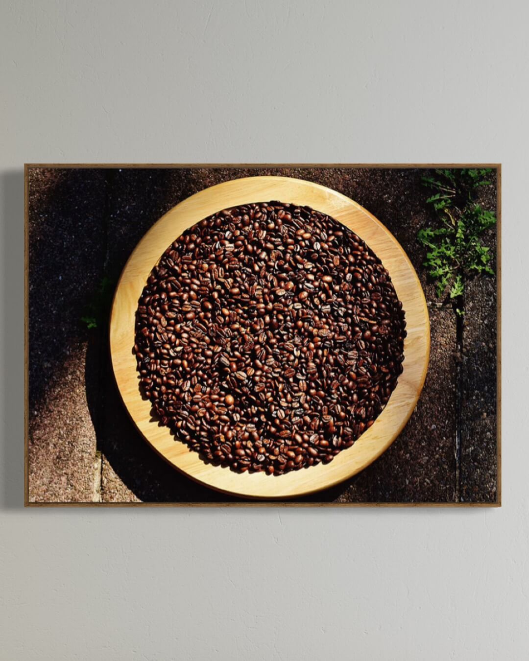 Kaffebønnerne er klar