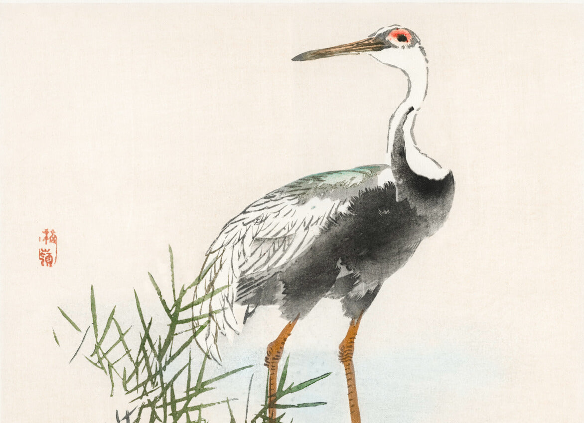 Plakaten "Tranen i siv" fra Posters viser en hvid trane med sorte vinger og en rød plet over øjet, der står blandt grønne siv på en lys beige baggrund. Dens slanke hals minder om traditionel japansk plakatstil.