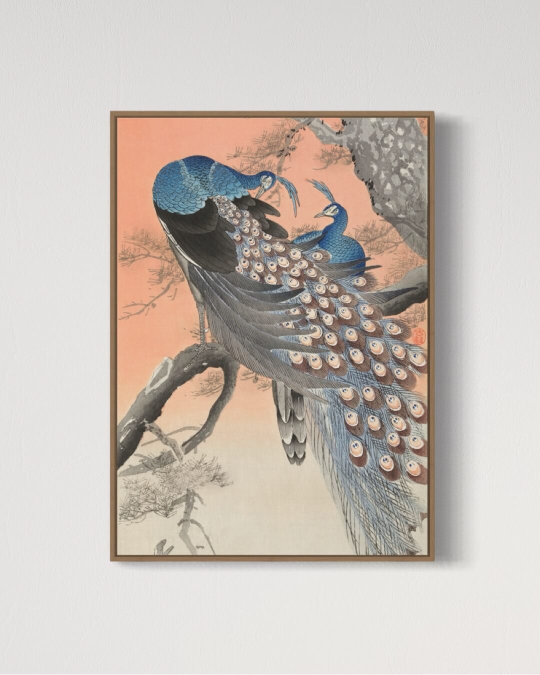 Two peacocks on tree branch