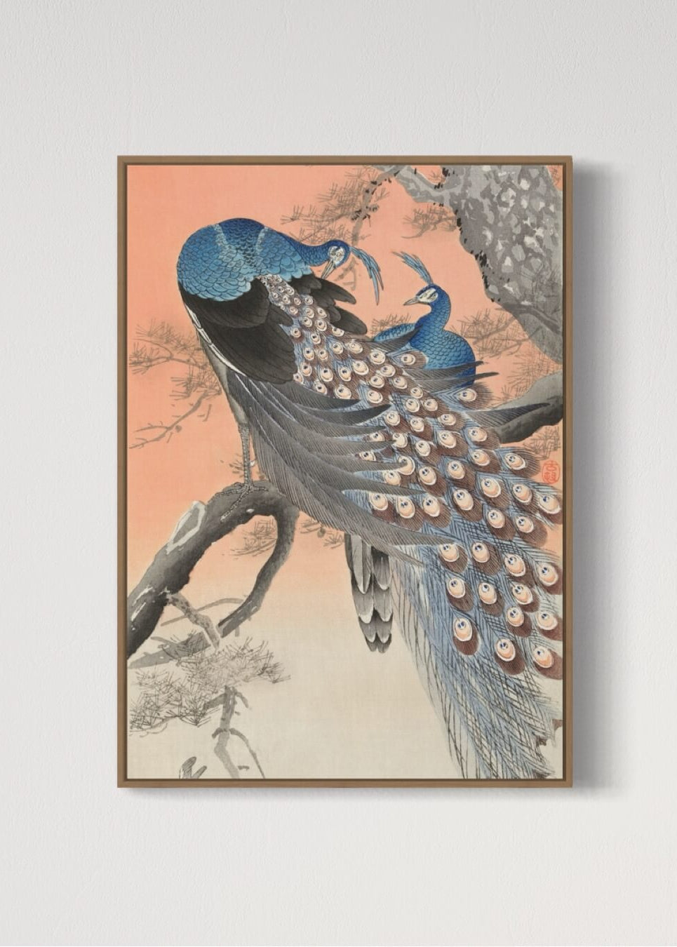 Two peacocks on tree branch