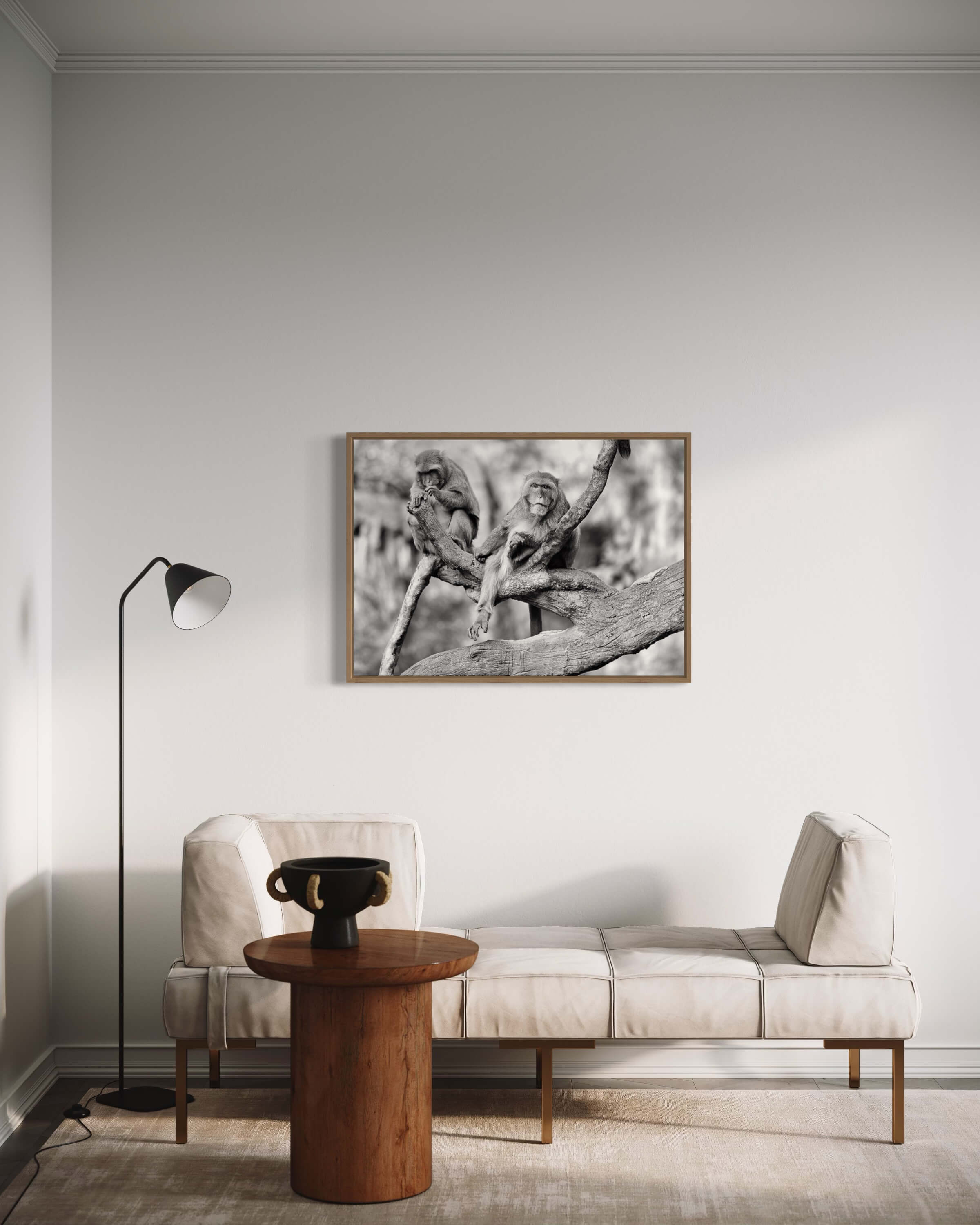 Foto af aber - sort/hvid