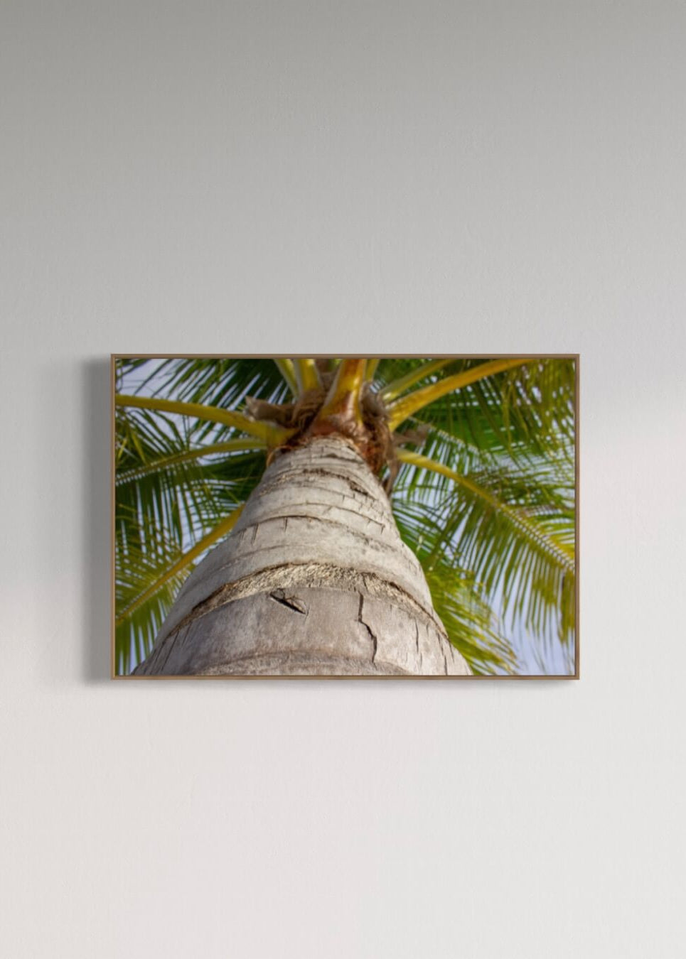 Palme
