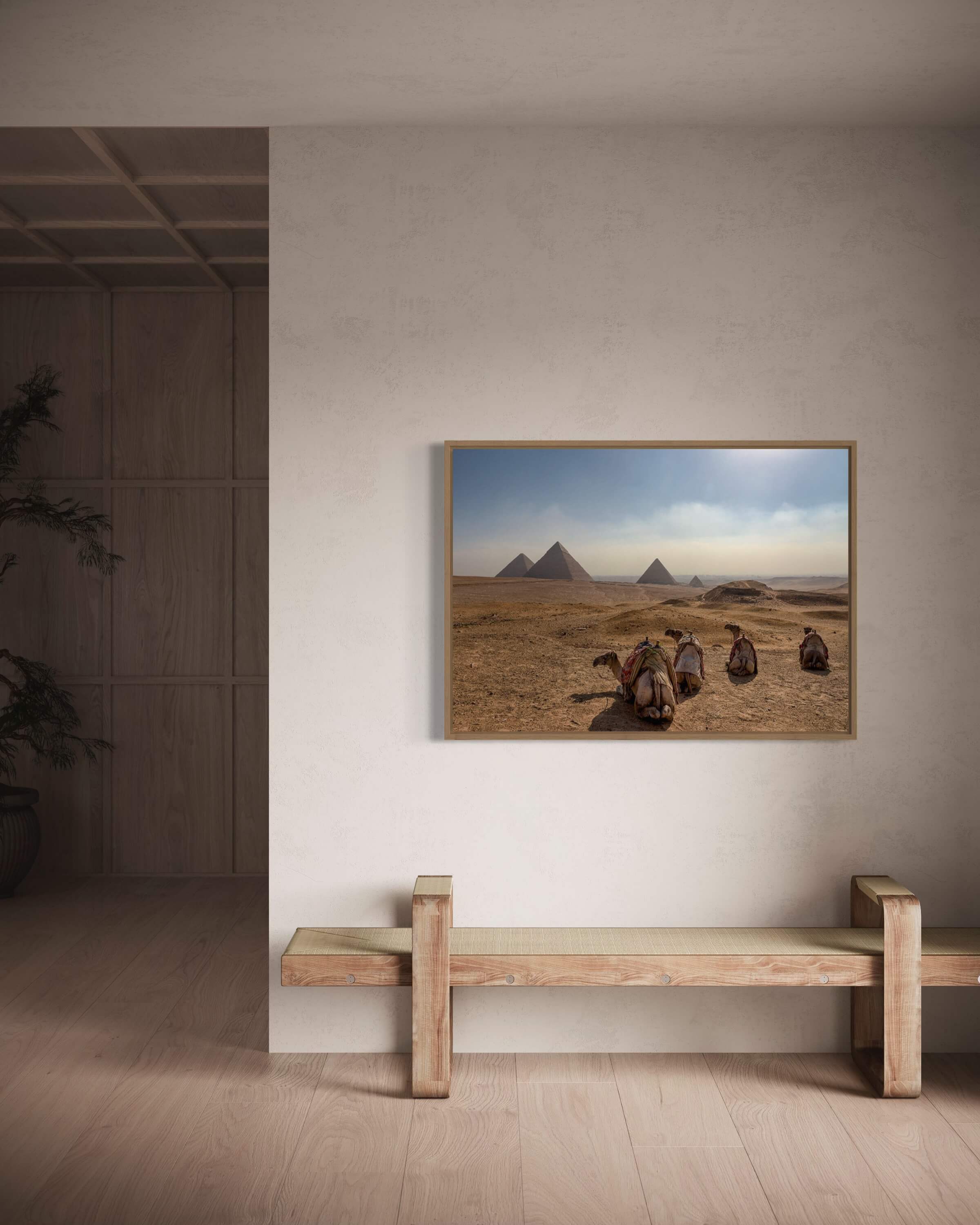 Kamelerne tager et hvil