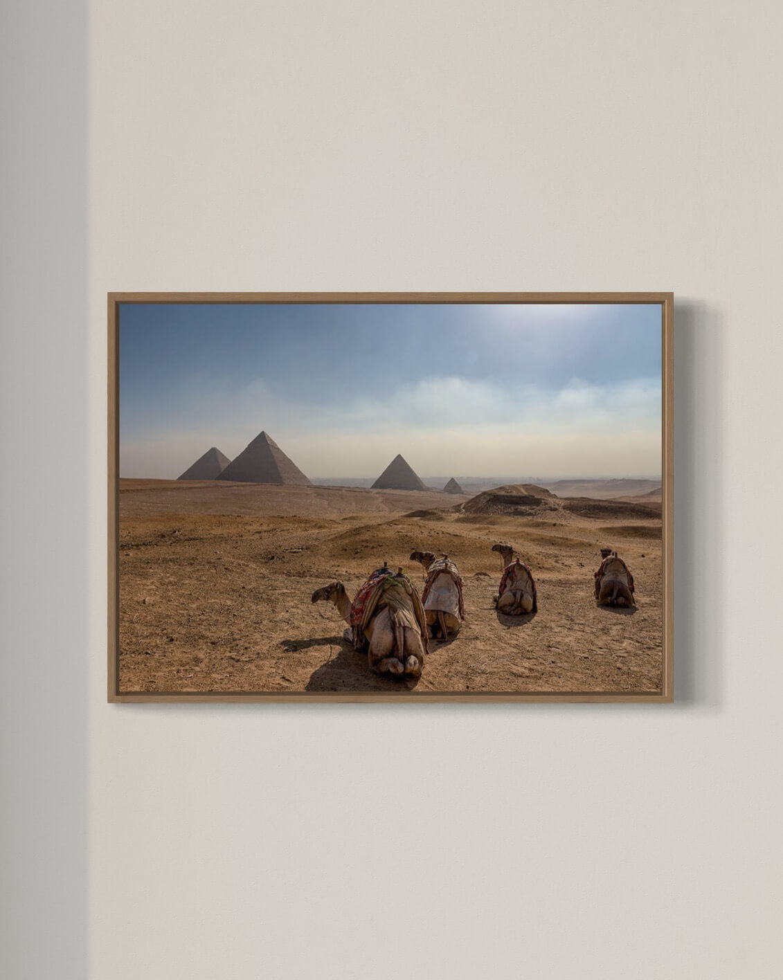 Kamelerne tager et hvil