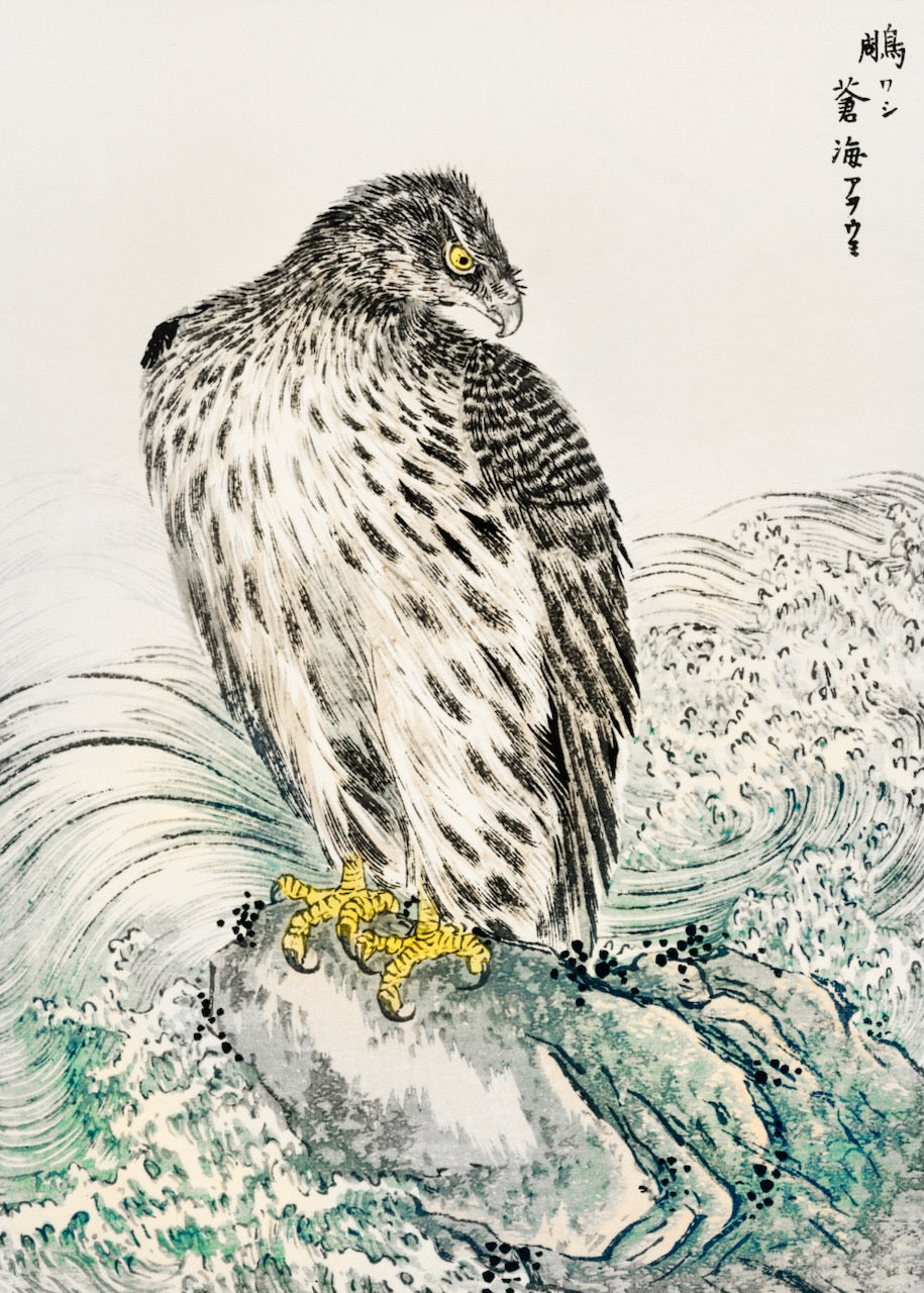 En detaljeret naturillustration af Japansk gylden ørn by Posters viser en majestætisk fugl med gule øjne og kløer på en klippe midt i hvirvlende bølger i japansk kunststil med kalligrafi i øverste højre hjørne.