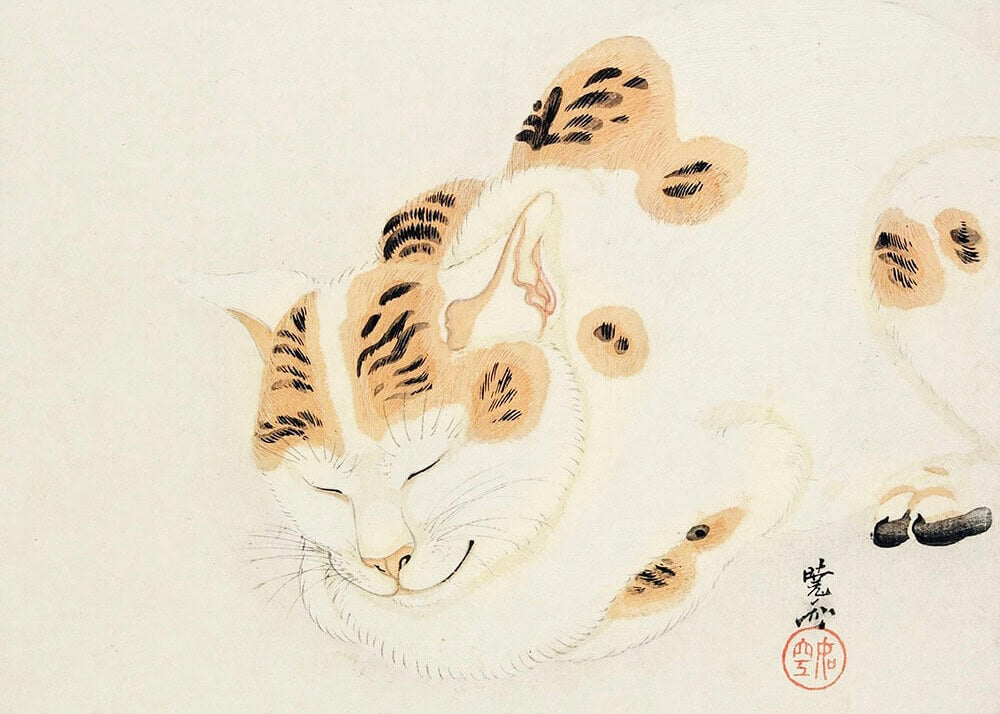 Kunsttrykket Japansk sovende kat fra Posters har en delikat plakatillustration af en hvid kat med orange og sorte pletter, der sover fredeligt i traditionel japansk stil pĂĄ en lys baggrund.