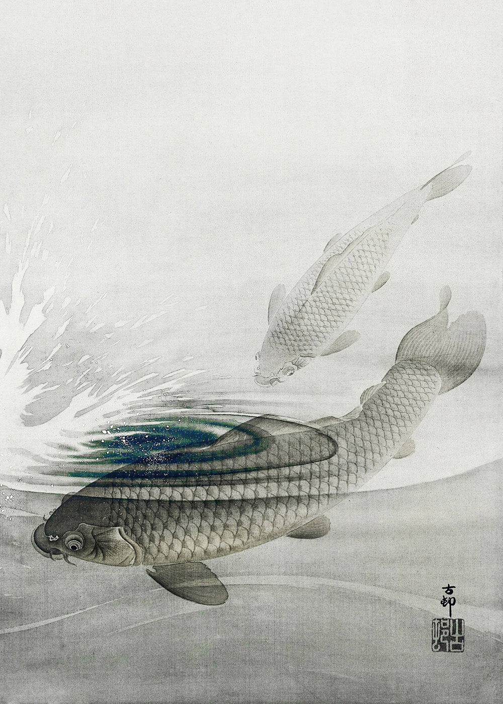 Karpernes Hvirvel" af Posters er en traditionel japansk plakat af to koi-fisk, der svømmer, og hvor den ene kommer op til overfladen i nærheden af et plask. Den minimalistiske baggrund fremhæver fiskenes detaljerede skæl og skaber en fredfyldt plakatatmosfære.