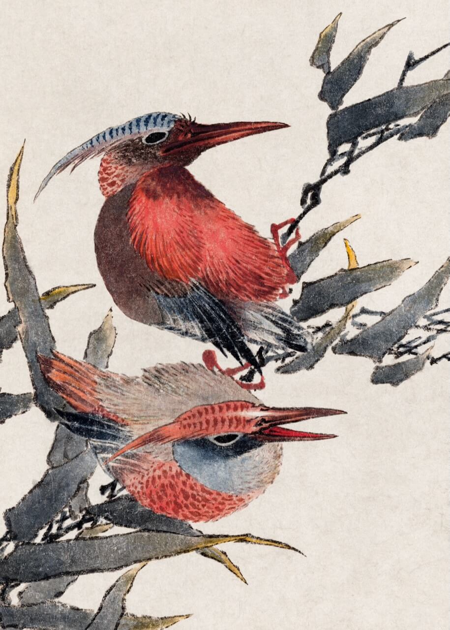 To farverige fugle med røde fjer og blå detaljer sidder på grene mod lys baggrund i Katsushika Hokusais Fugle fra Samling fra Posters-perfekt som eksotisk plakat eller farverig vægdekoration til børneværelset.