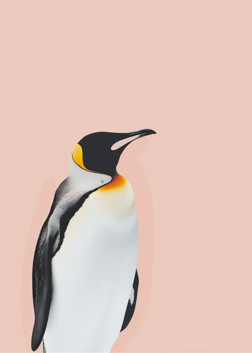 En kongepingvin står højt på en lyserød baggrund og viser sine lyse aftegninger - Klar til Catwalk by Posters tilføjer arktisk charme til ethvert børneværelse med dette søde pingvinplakat.