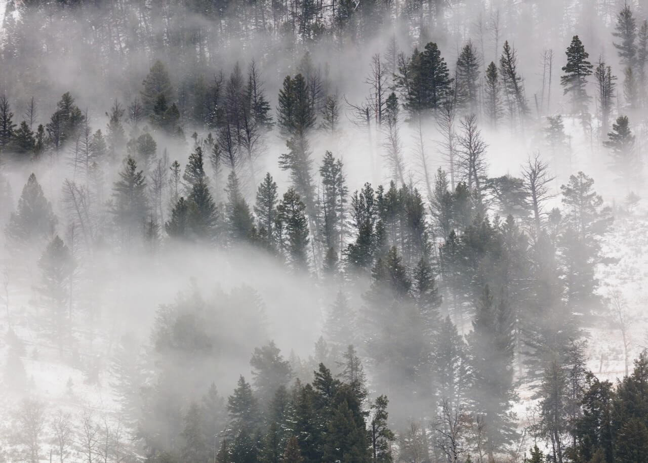 Lamar Valley i tågens slør