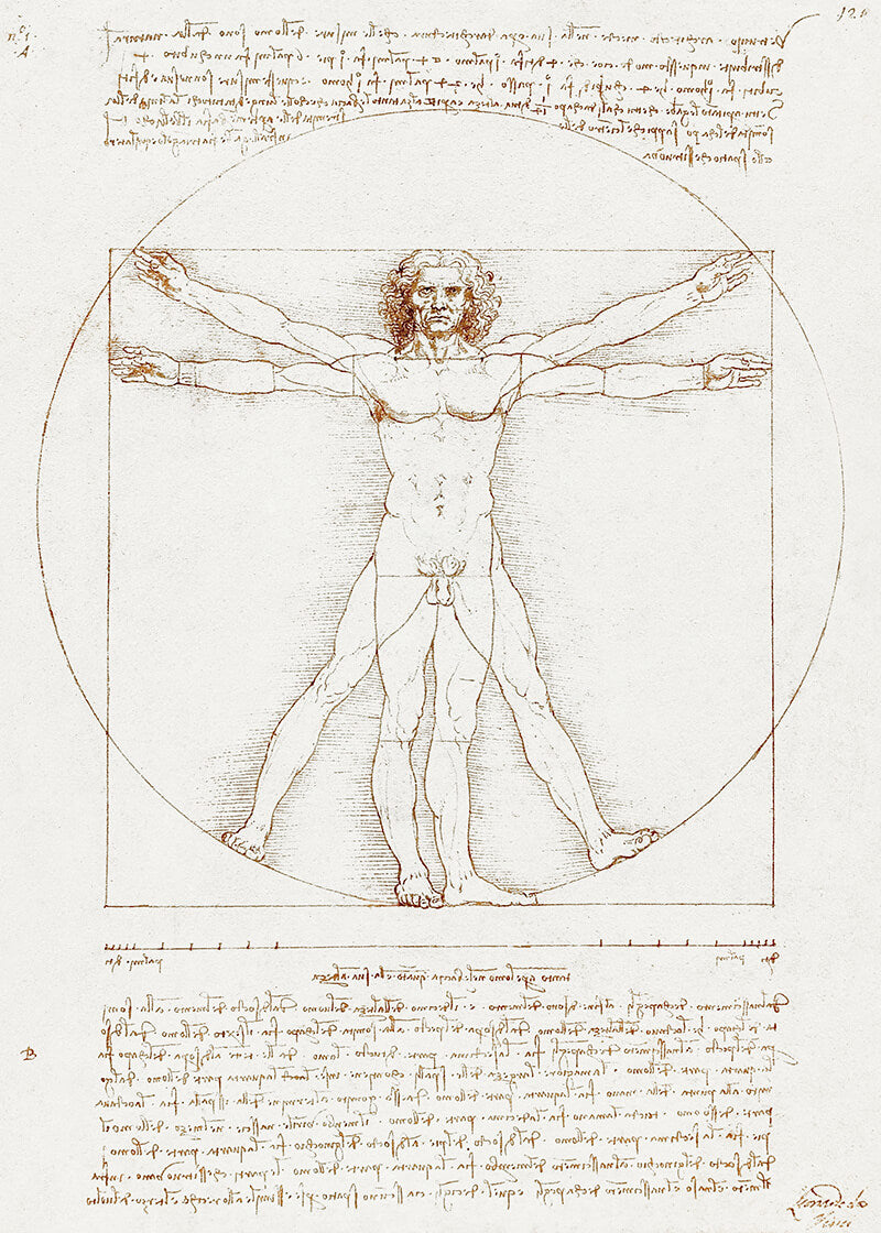 Leonardo da Vinci's Vitruvian Man (circa 1492)