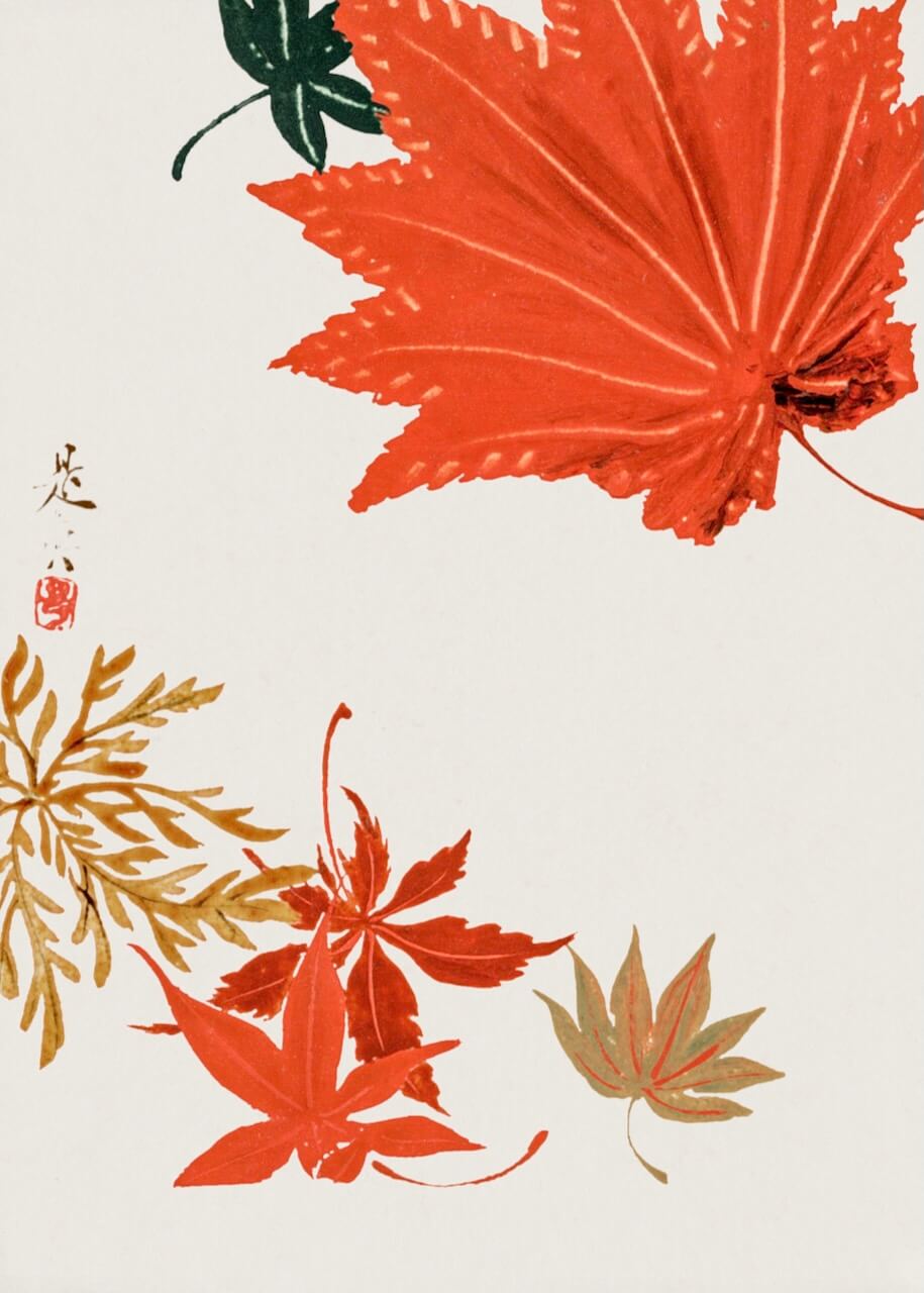 Maple Leaves af Shibata Zeshin fra Posters har et minimalistisk design med røde, orange og grønne ahornblade, japansk kalligrafi og et rødt stempel i venstre side mod en hvid baggrund.