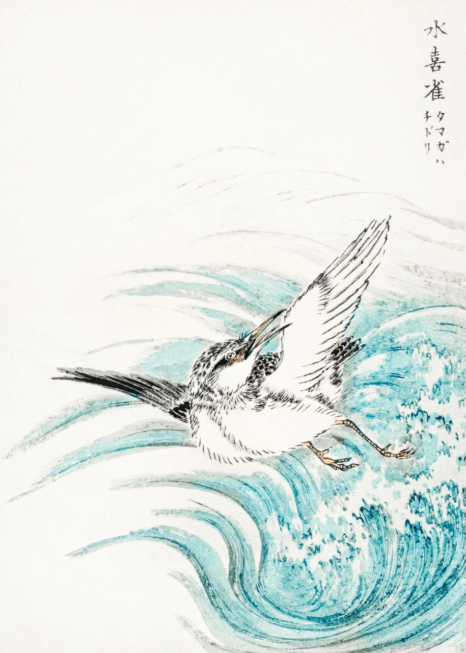 Kunsttrykket Mongolian Plover fra Posters viser en blæk- og akvarelfugl med udstrakte vinger over hvirvlende blågrønne farver, fremhævet af japansk kalligrafi på en hvid baggrund - en elegant naturplakat.