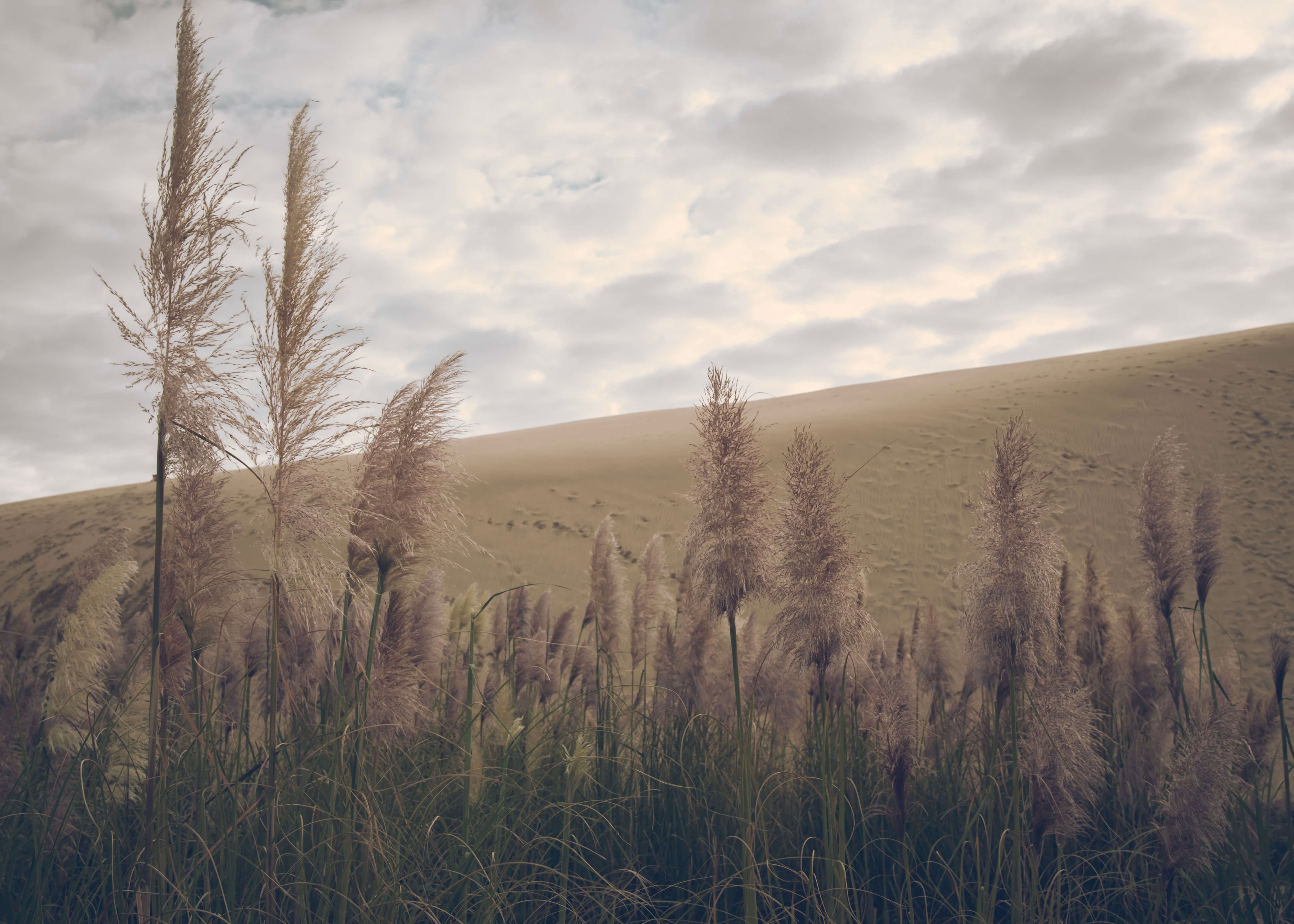 Naturens vidunder