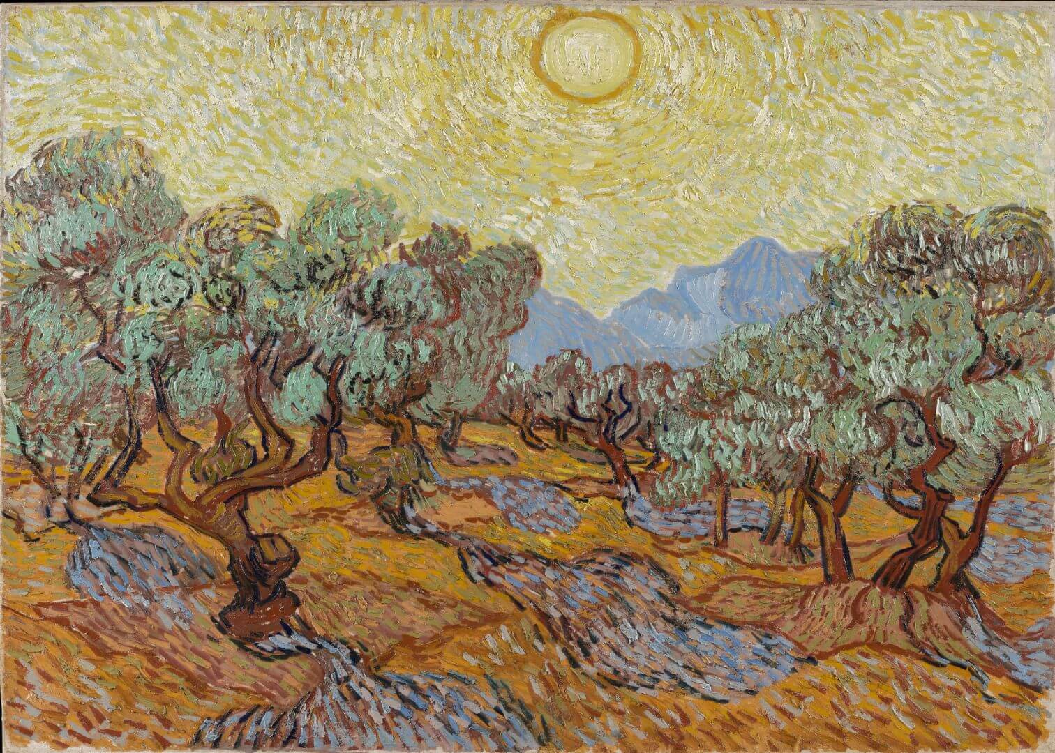 Posters "Olive Trees (1889)" viser Van Goghs snoede stammer under en lysende gul sol, hvirvlende himmel, grønne blade, brun jord og blå bjerge - trykt på FSC-certificeret papir.