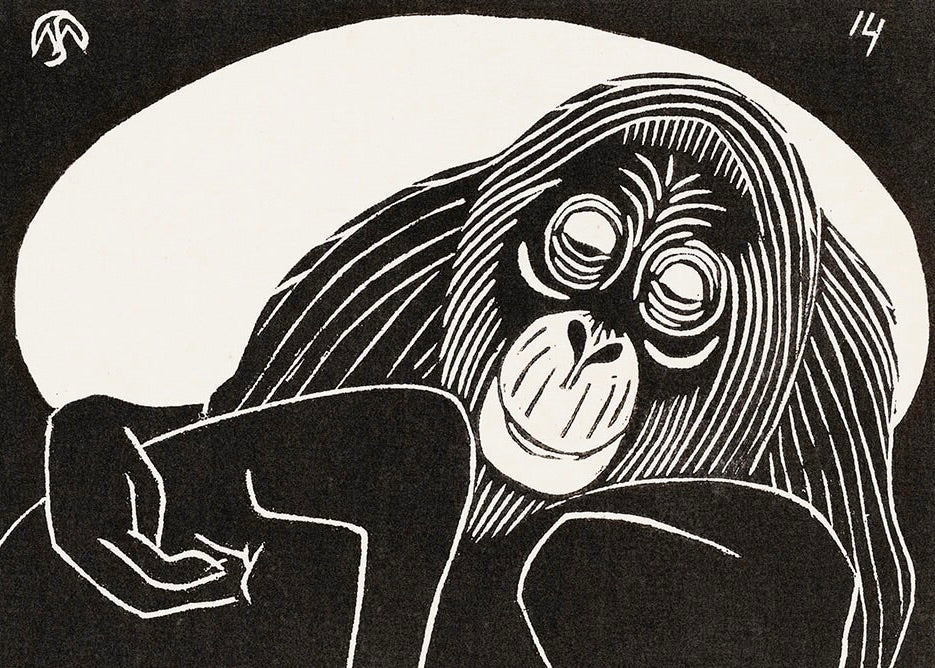 Orangutan af Samuel Jessurun