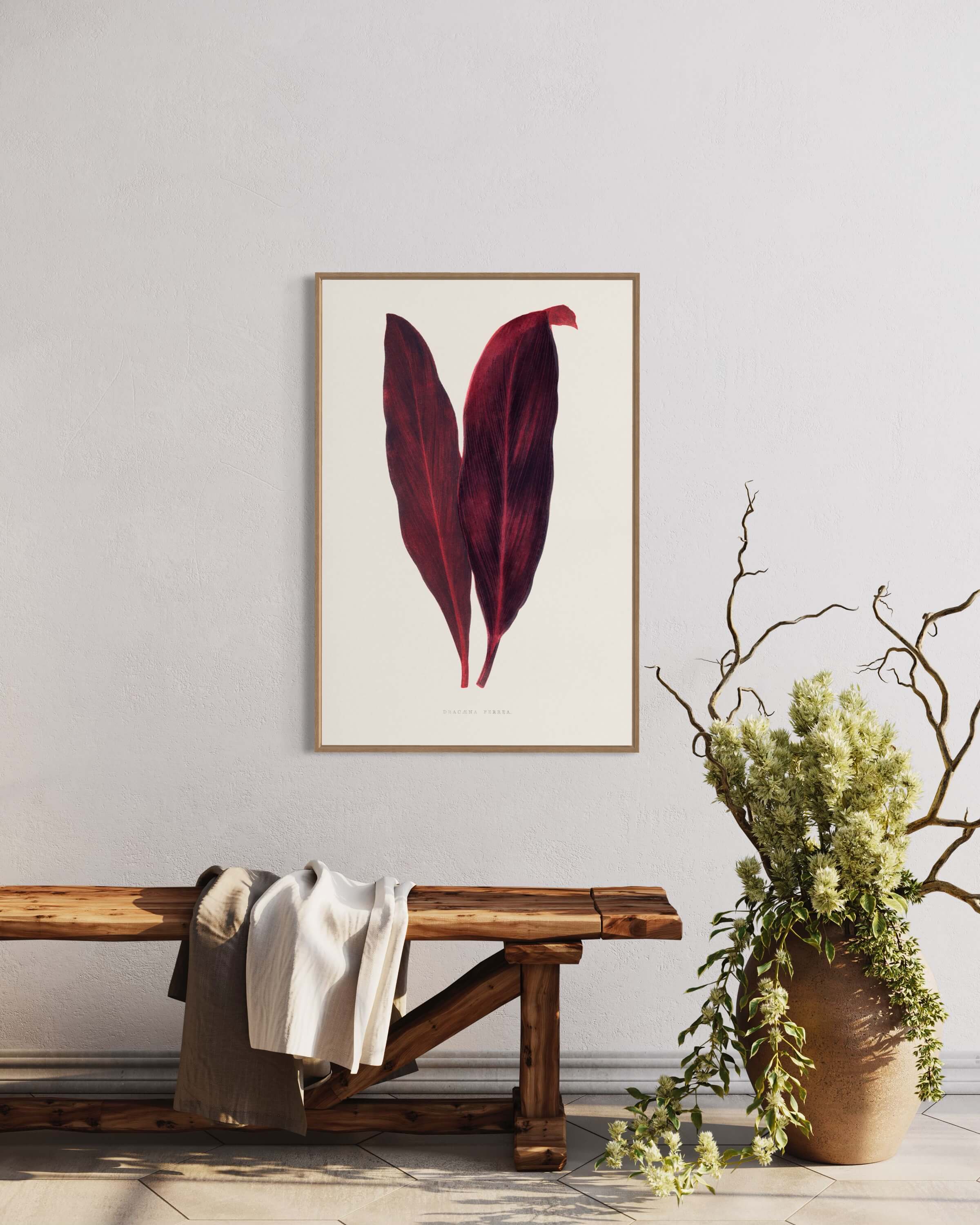Pink Dracaena Ferrea leaf illustration