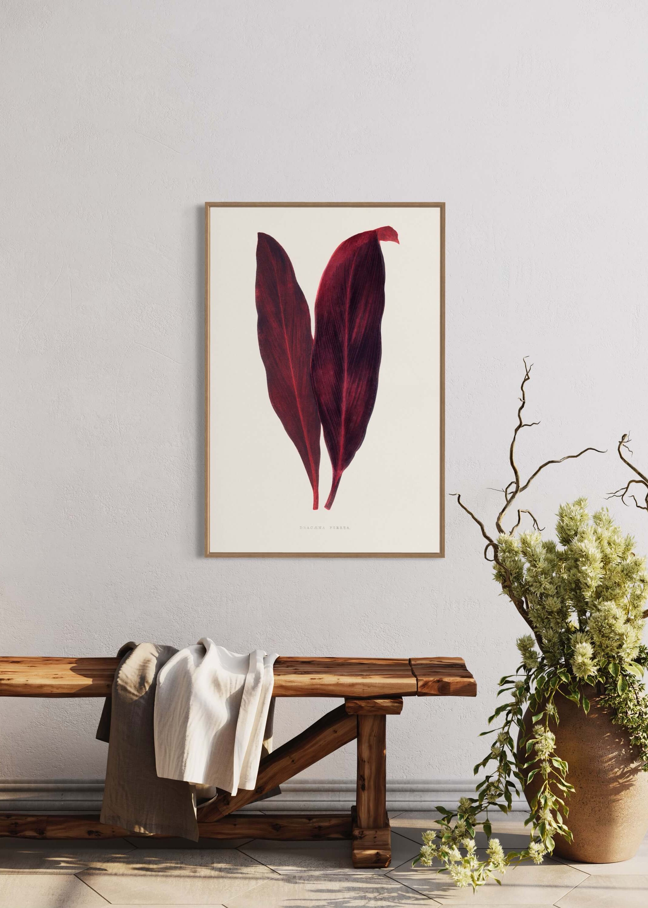 Pink Dracaena Ferrea leaf illustration
