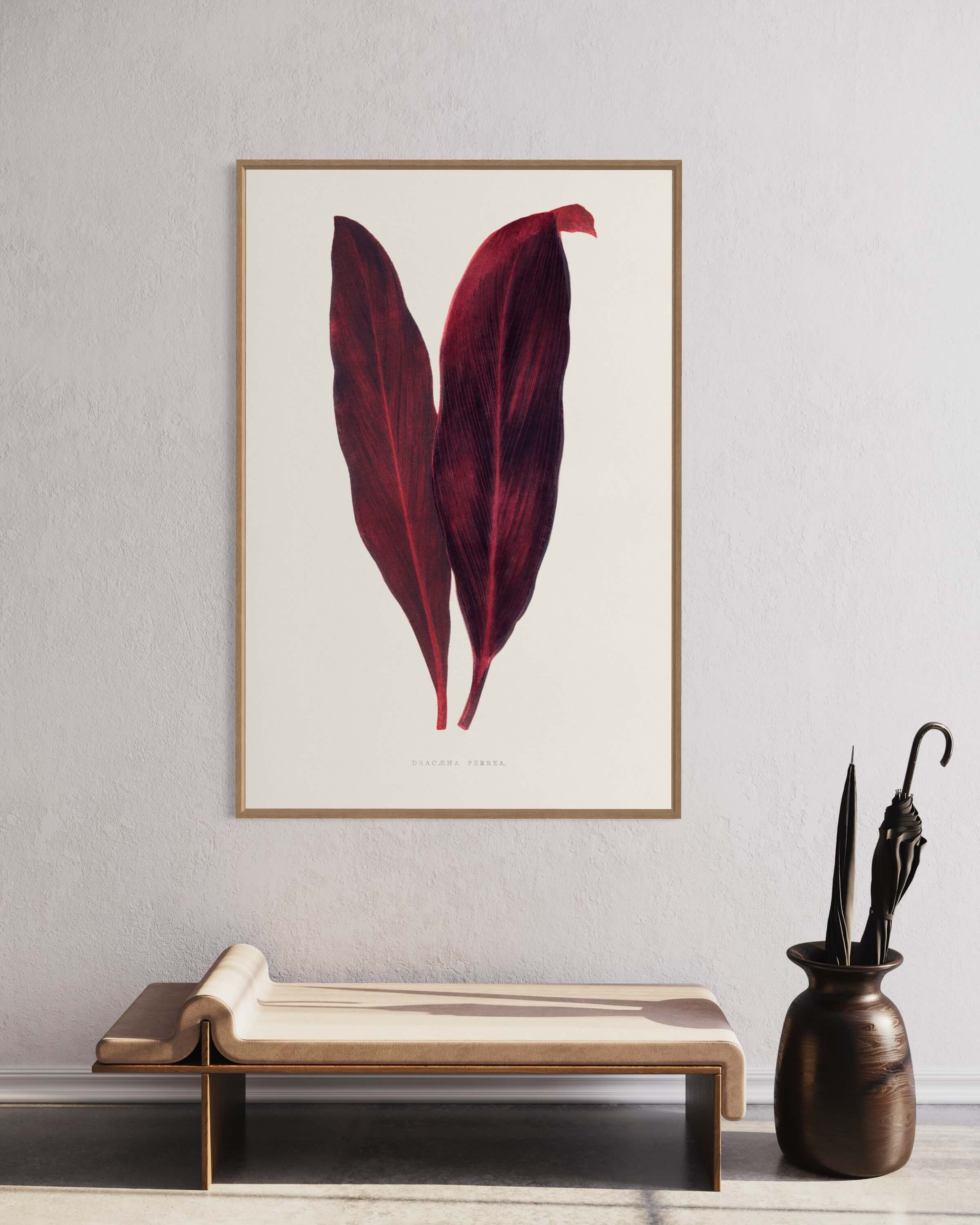 Pink Dracaena Ferrea leaf illustration