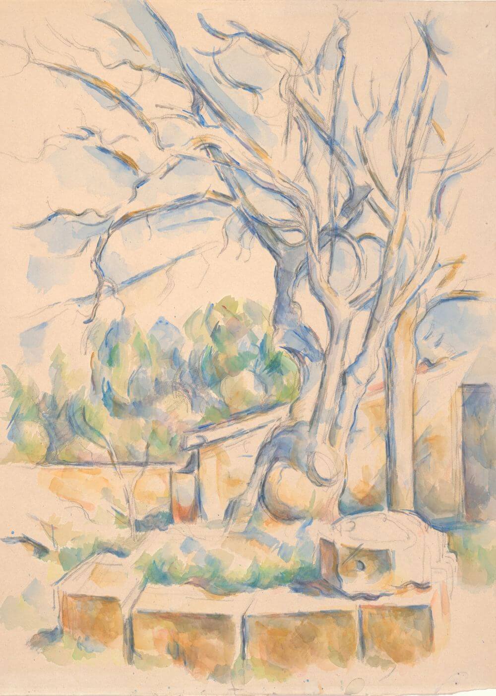 Pistachio Tree at Chacteau Noir