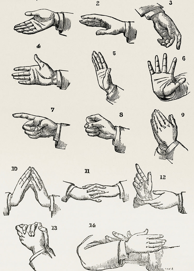 Posters "Positions of the Hands (1910)"-printet viser 14 nummererede vintage-håndbevægelser i retrostil med stillinger som pegende, åben håndflade, knyttede, foldede og udstrakte eller samlede fingre.