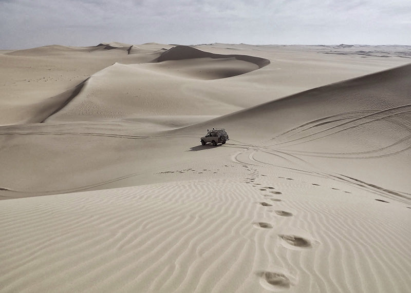 Roadtrip at Sahara