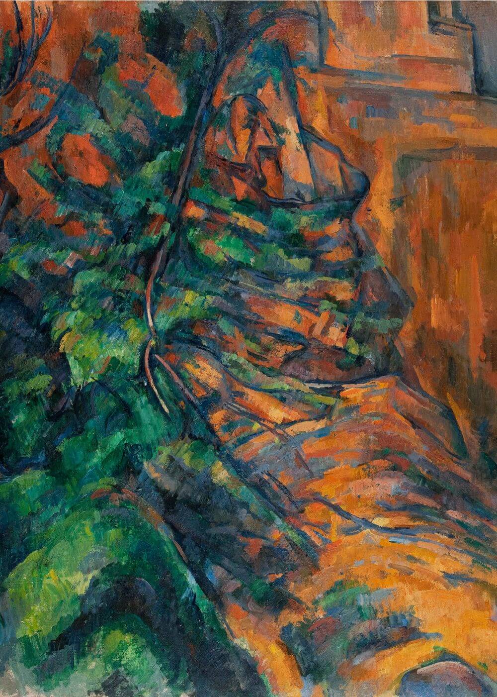 Rocks and branches
