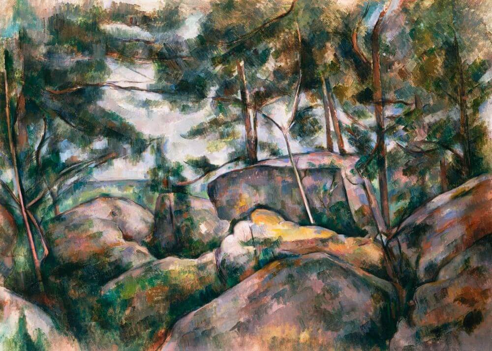 Rocks in the Forest