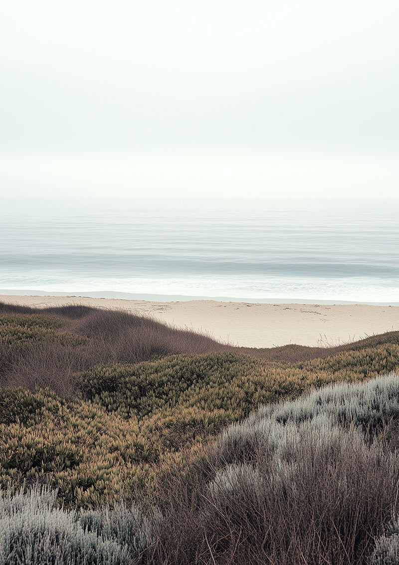 Serene Beach