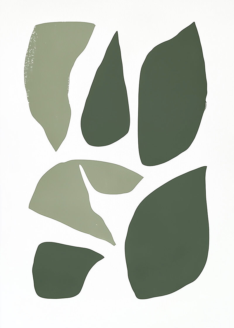 Shade & Shape
