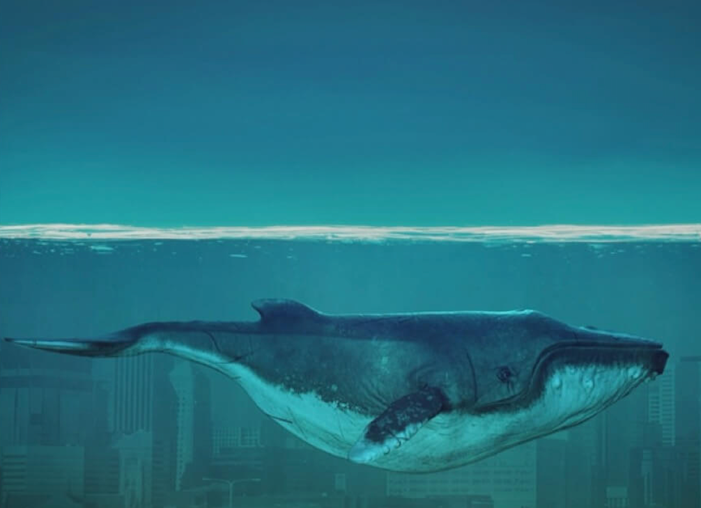 Hvalen by Posters viser en stor blåhval, der svømmer under vandet med en svag byskyline i baggrunden og blander by- og havscener i et surrealistisk, plakatinspireret kunstværk.