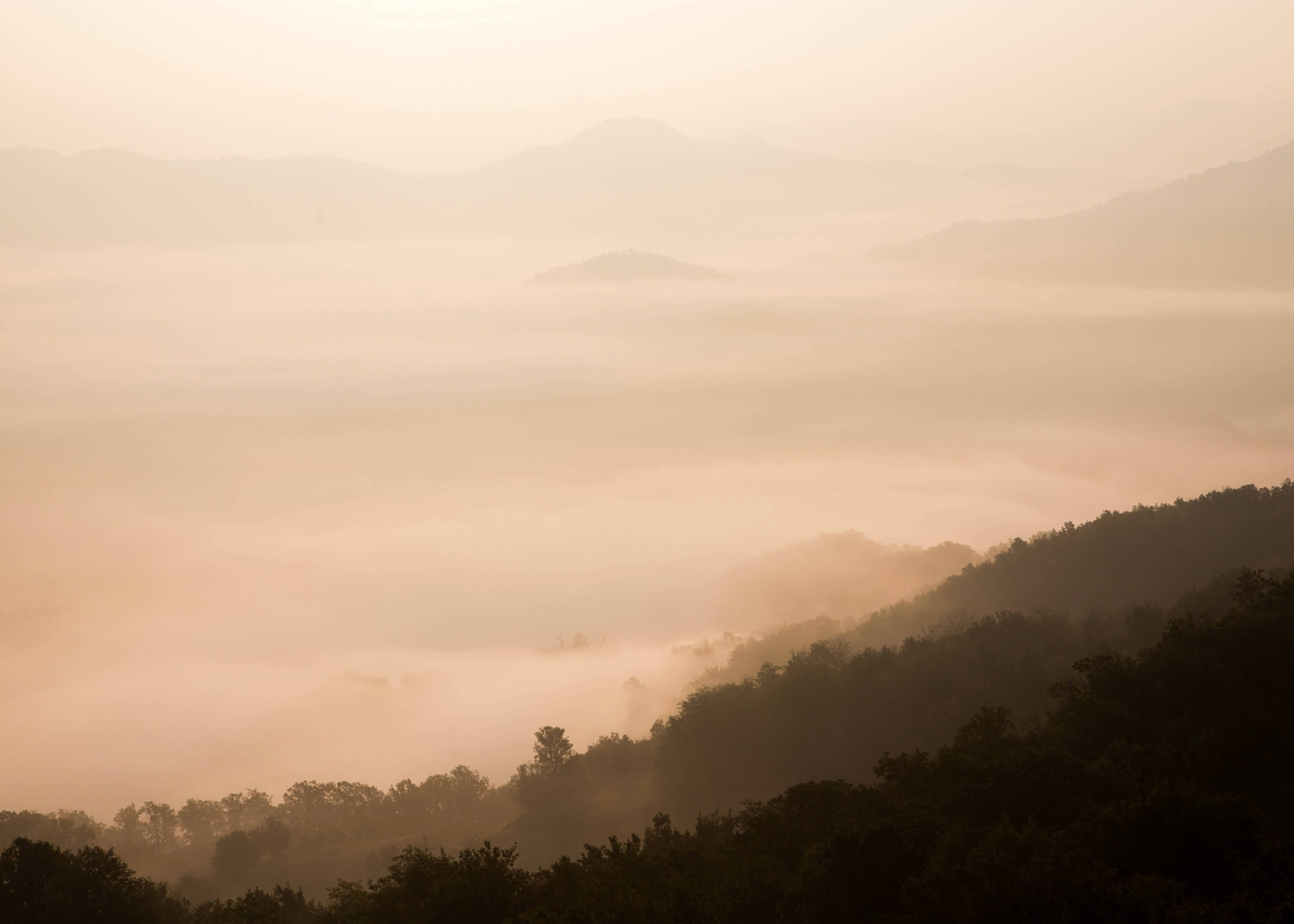 Støvet himmel" af Posters viser et tåget landskab med lagdelte bakker og træer i tyk tåge under gyldent lys fra solopgang eller solnedgang - et ideelt roligt plakat til ethvert fredfyldt rum.