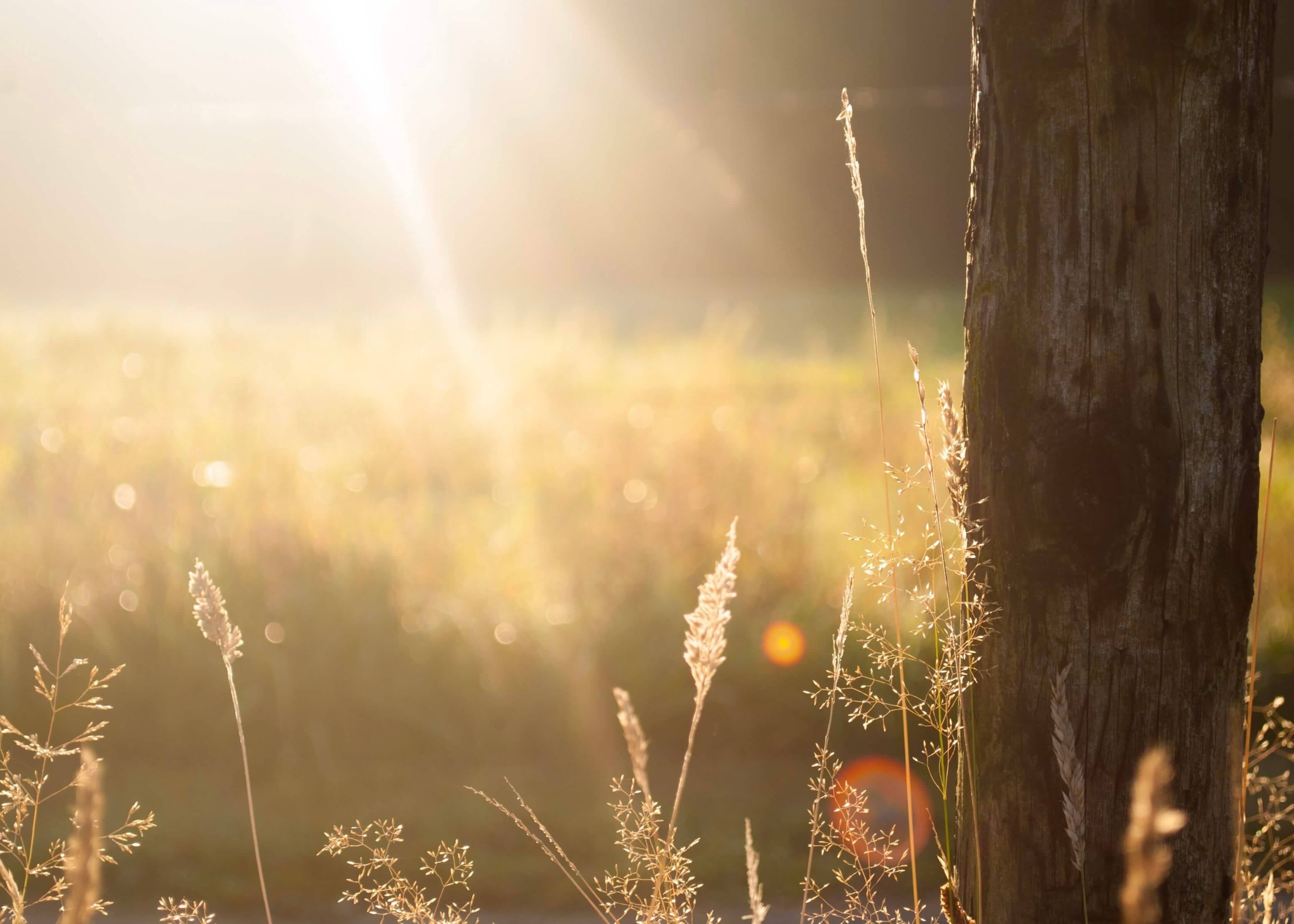 Strålerne når frem