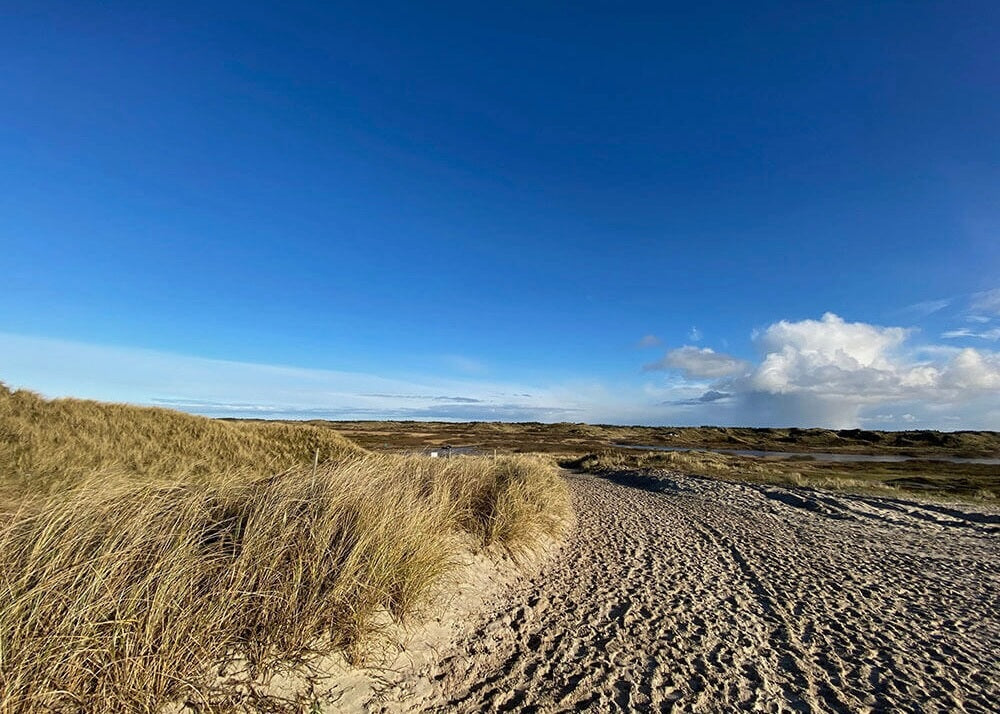 Strand på Amager