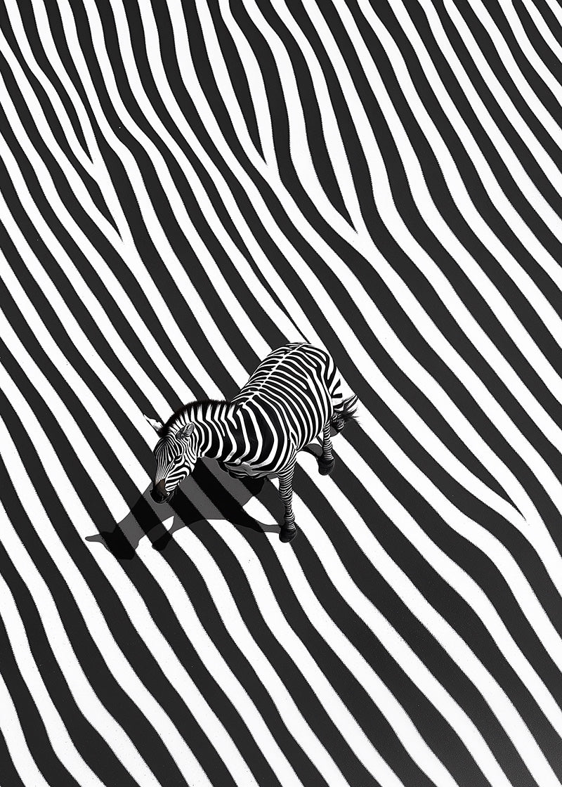Striber i striber