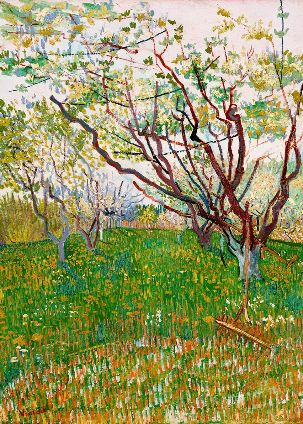 The Flowering Orchard