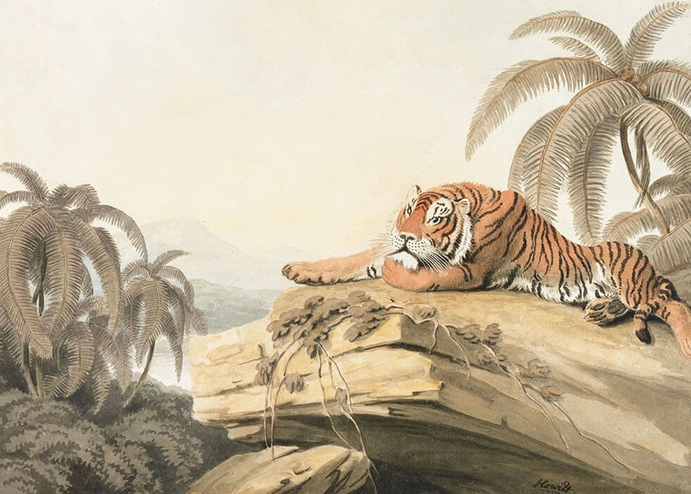 En tiger hviler på en klippe blandt frodige jungleløv og palmer, med disede bjerge i det fjerne under en lys himmel, afbildet på vildmarksplakaten "Tiger i Junglebogen" fra Posters.