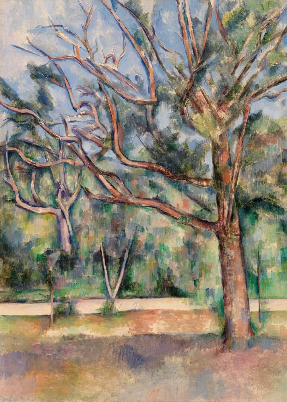 Trees and Road (Arbres et route)