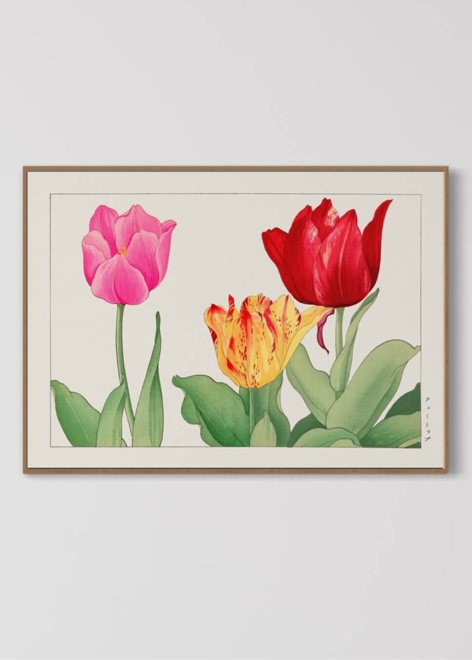 Tre tulipaner