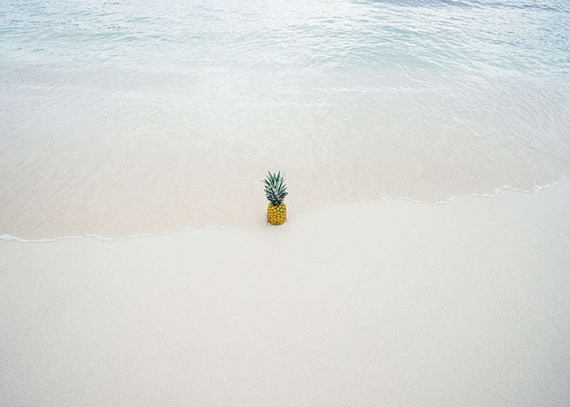 Tropical Pineapple