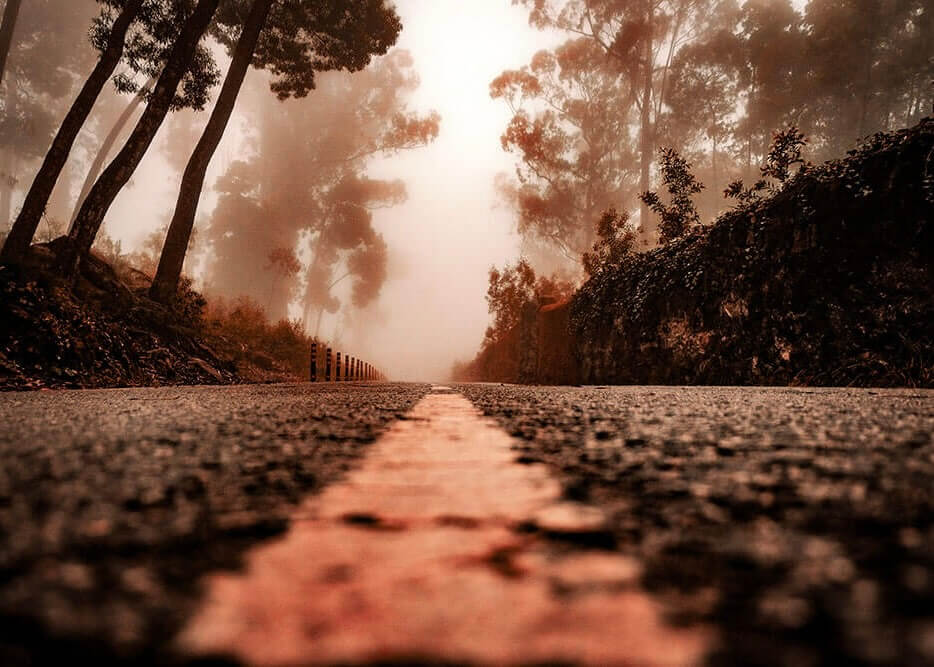 Plakaten "Vej gennem skoven" viser en stemningsfuld, plakatinspireret scene af en tom vej med en central linje, indhyllet i tæt tåge og træer. En rødlig nuance uddyber atmosfæren, mens baggrunden på mystisk vis smelter sammen med tågen.