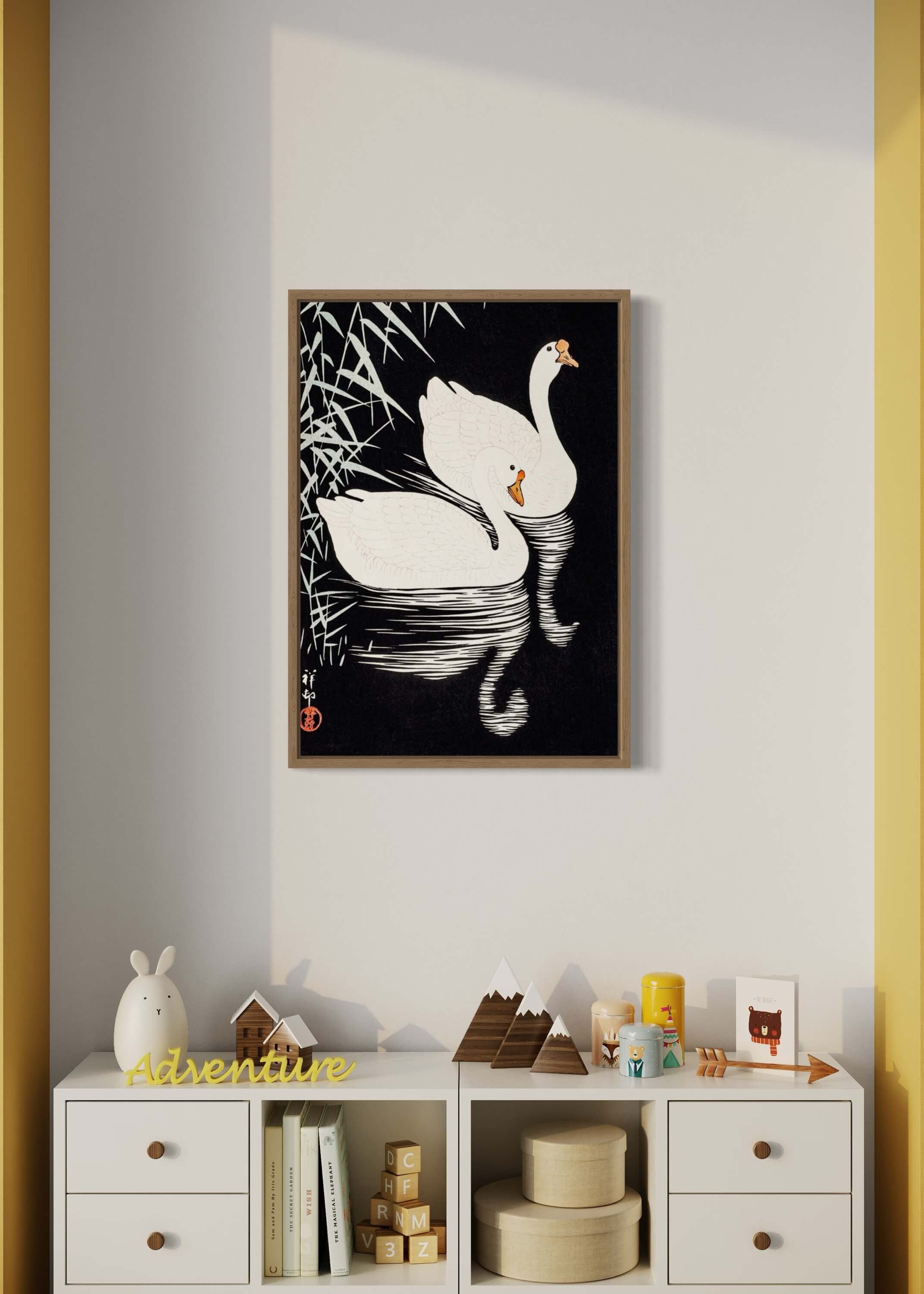 White Chinese Geese