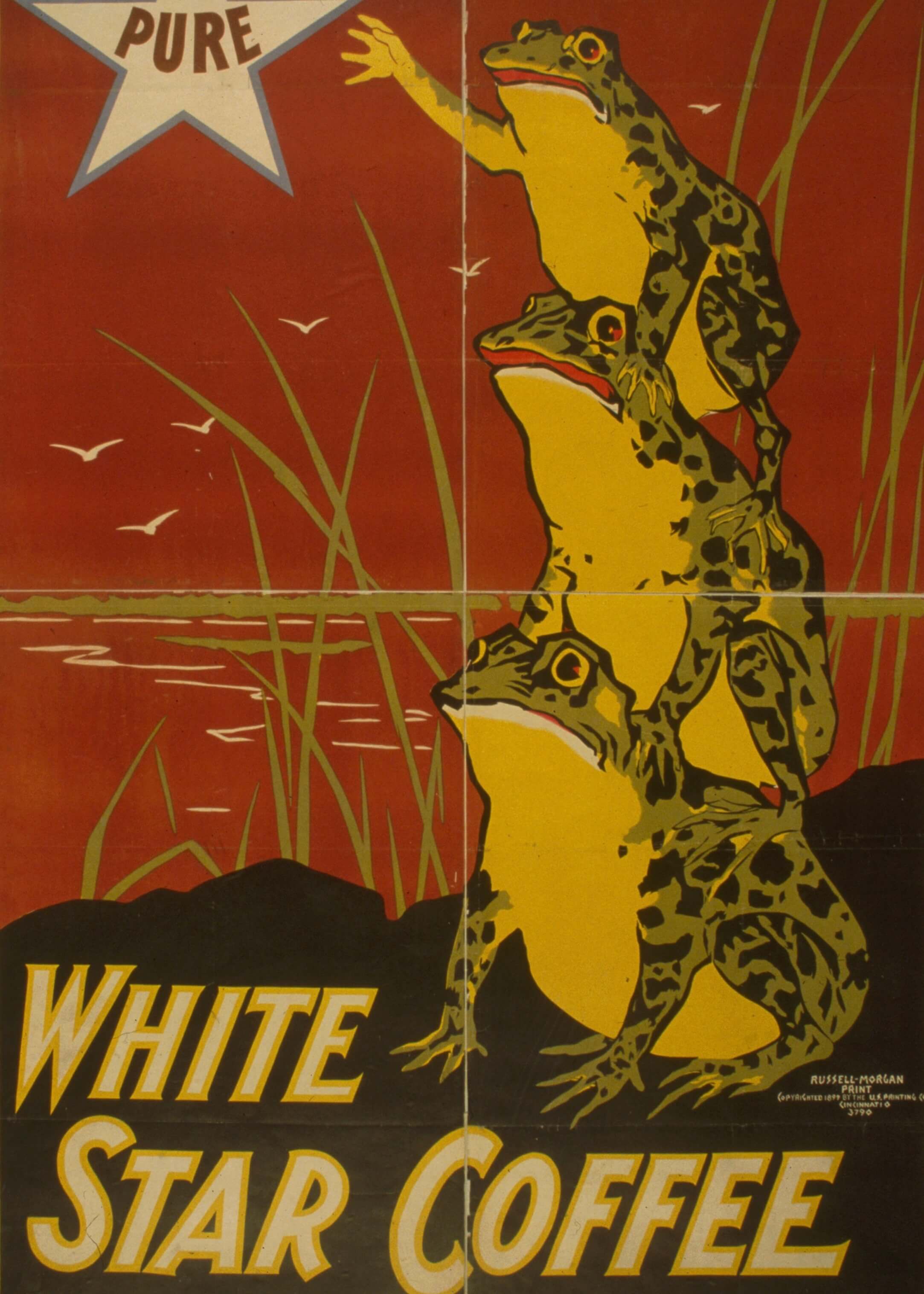 White star coffee
