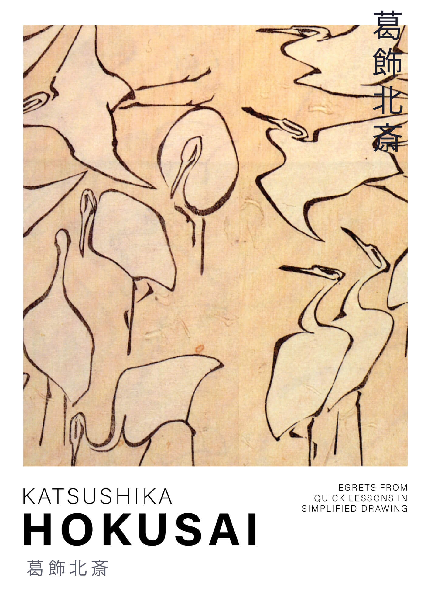 Egrets from Quick Lessons in Simplified Drawing