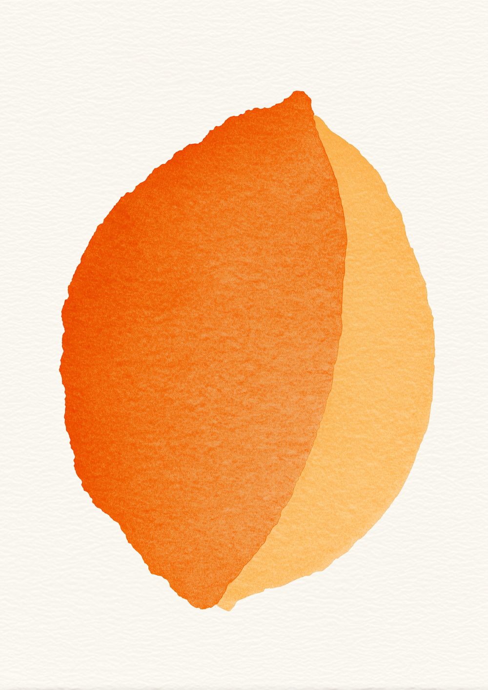 Apricot