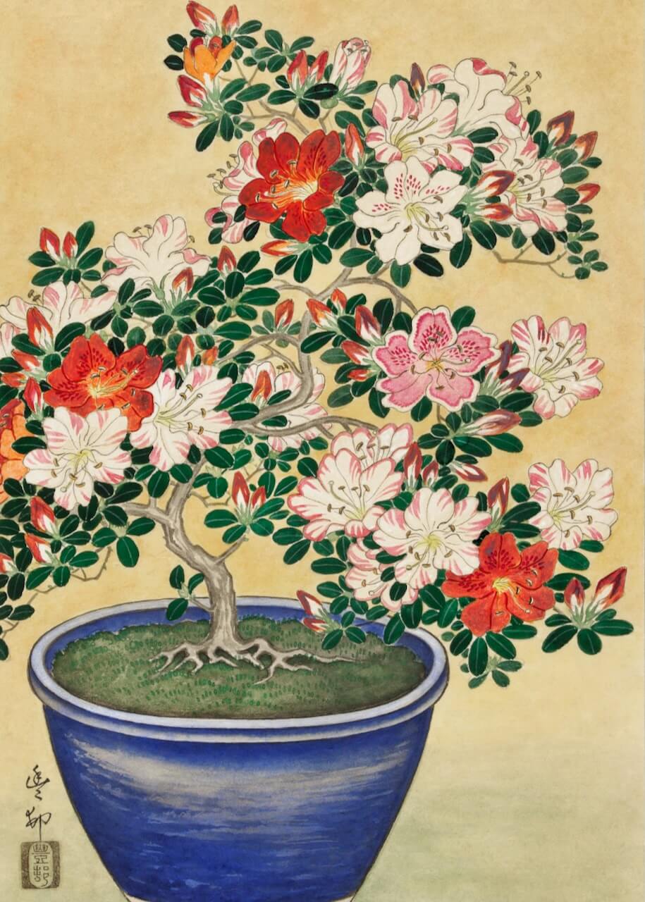 Botanisk Kunst Billedvæg