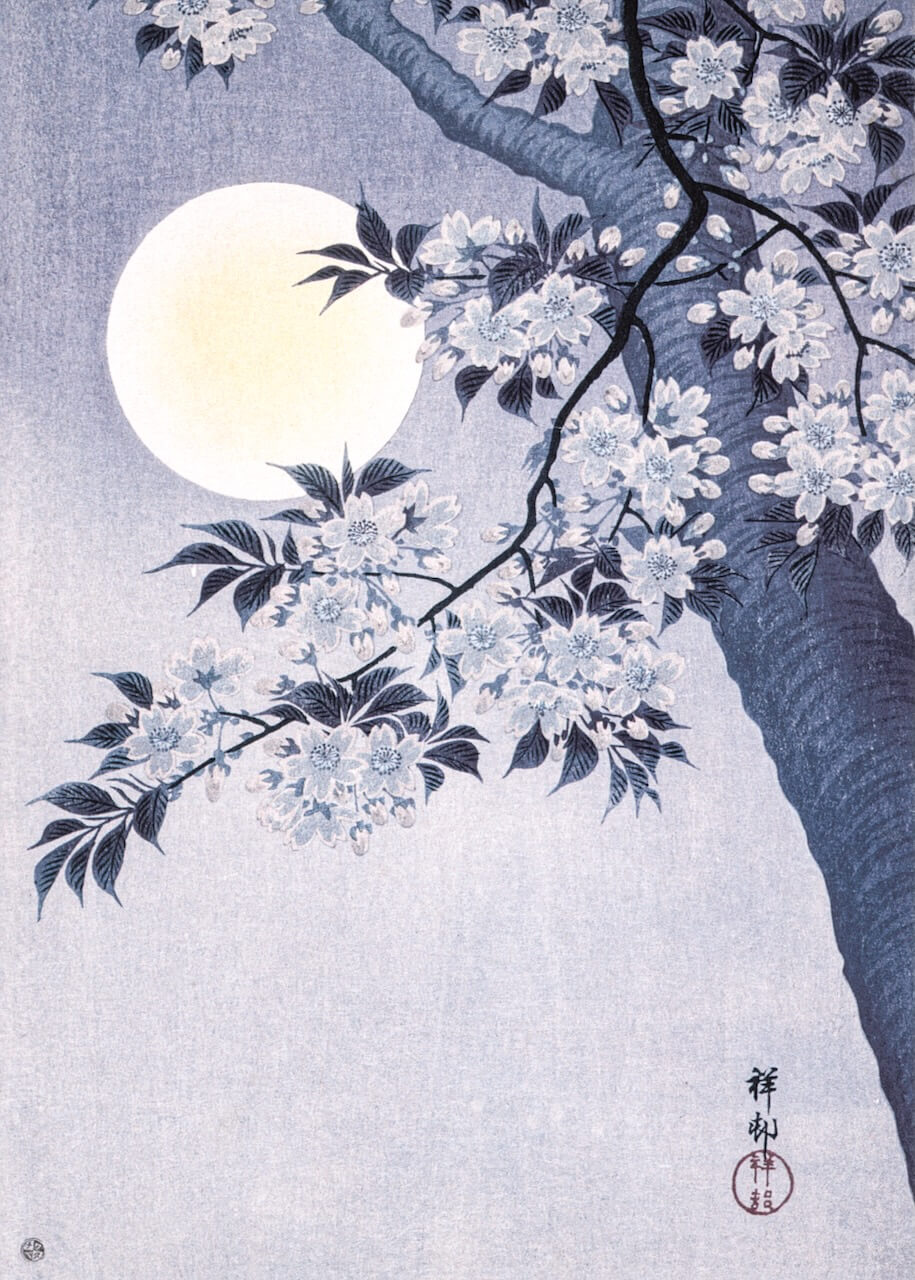 Blossoming Cherry on a Moonlit Night - lilla