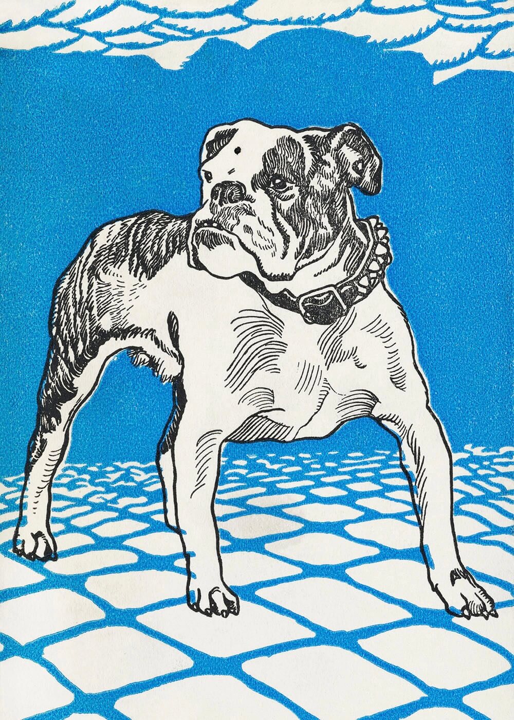 Bulldog - Moriz Jung