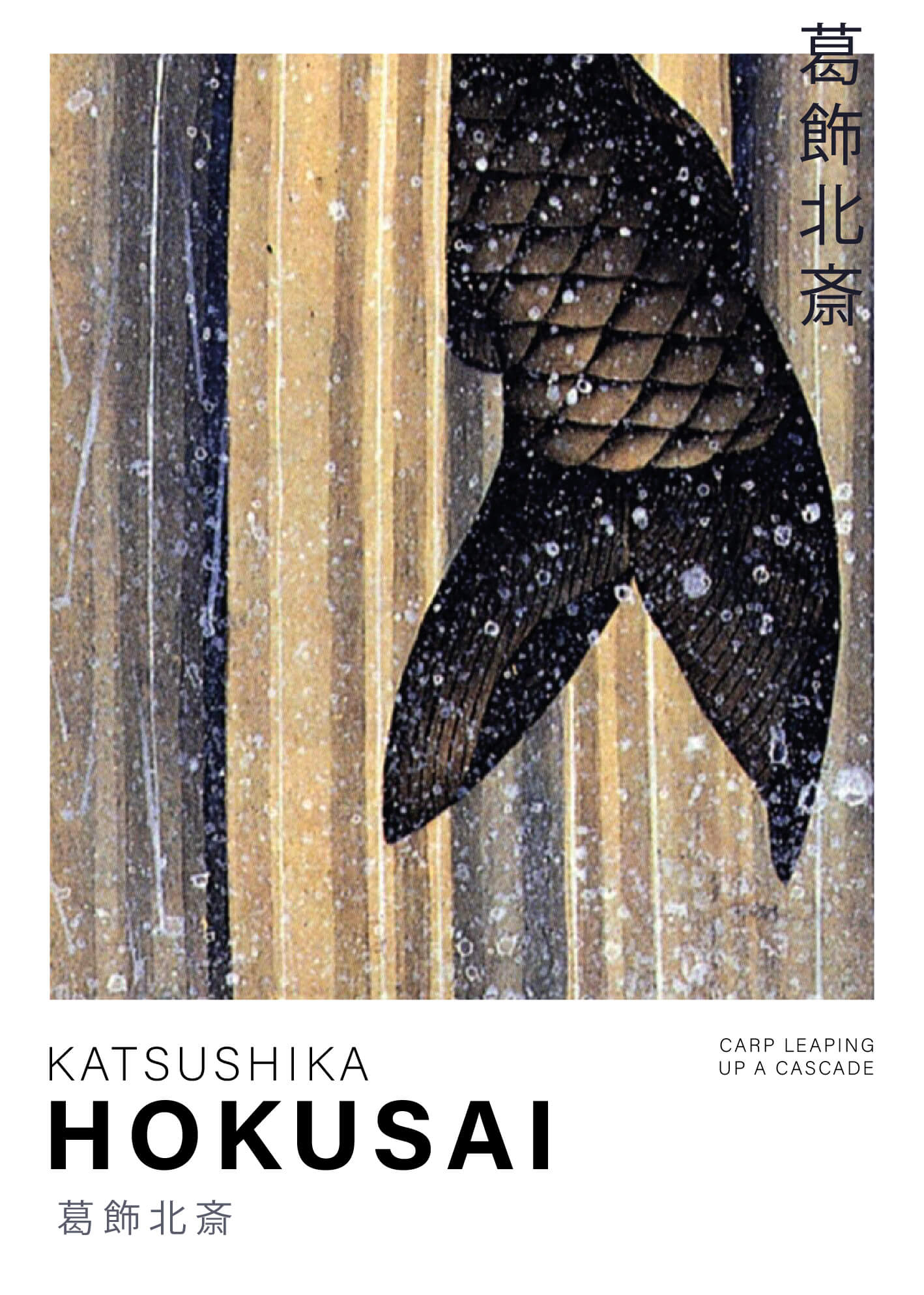 Carp leading up a cascade