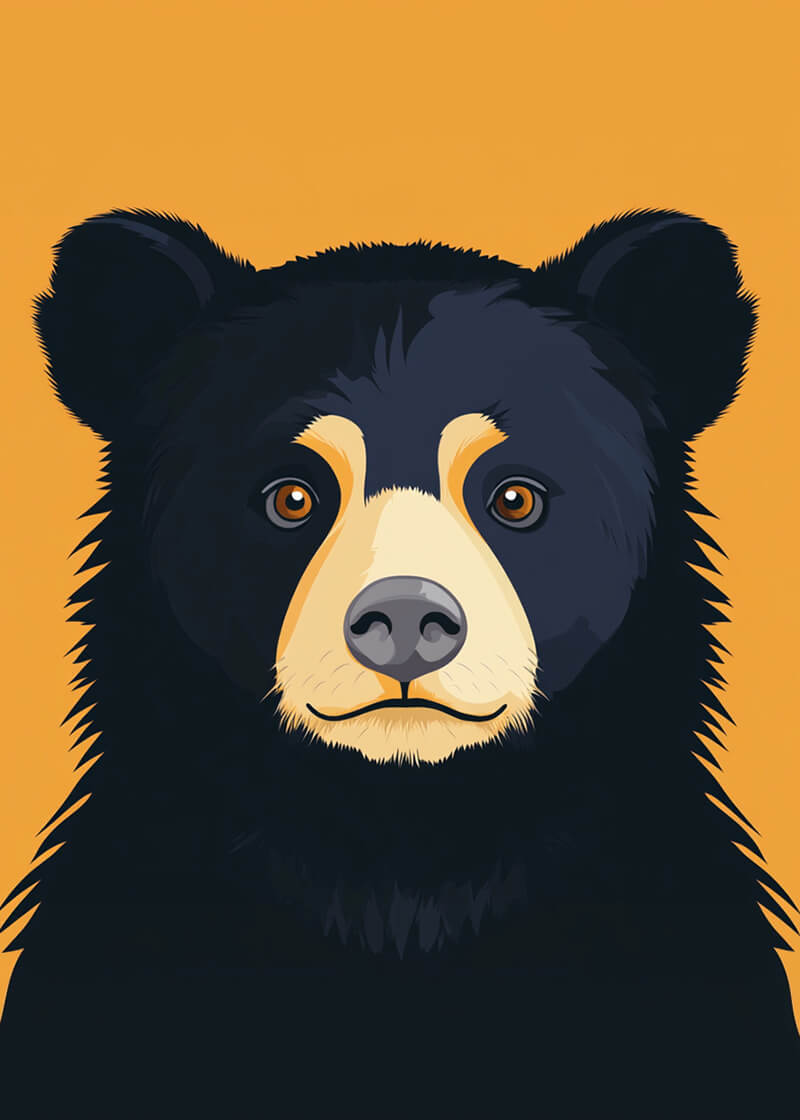 Charming Black Bear